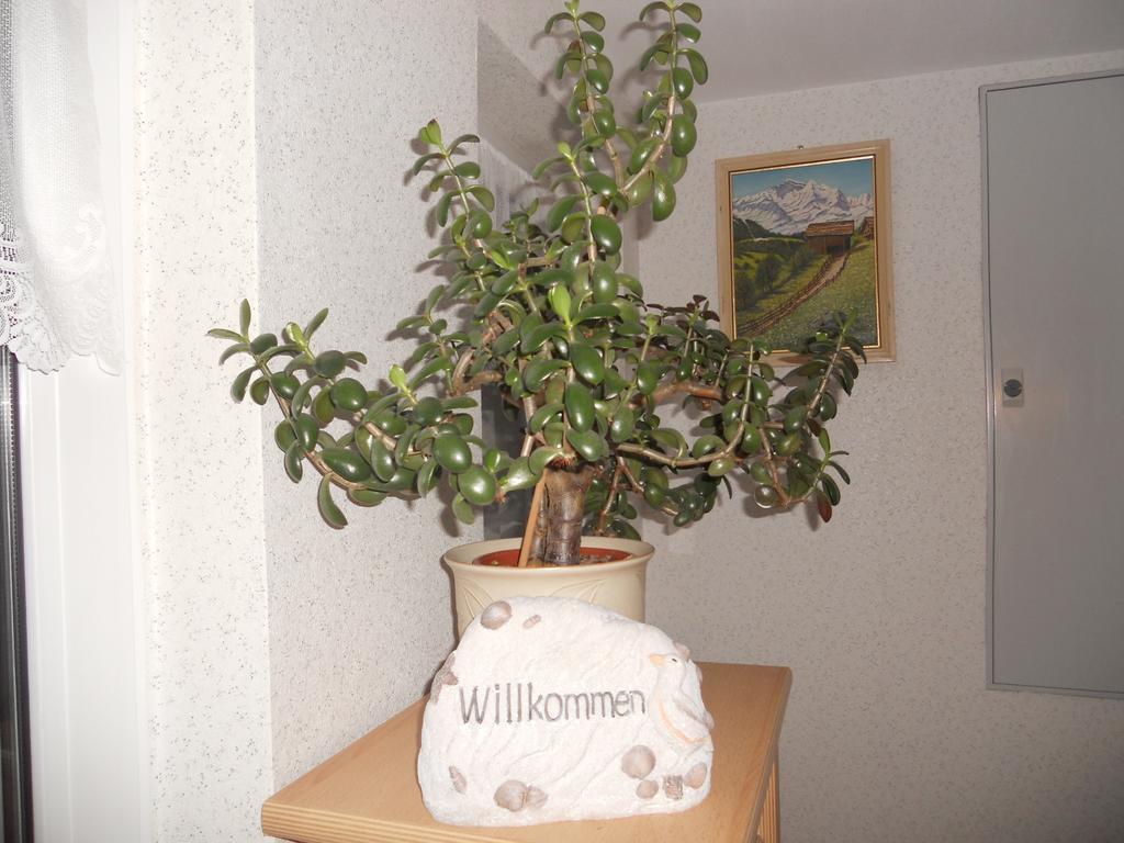 Ferienhaus In Hafennahe Apartamento Sassnitz Habitación foto